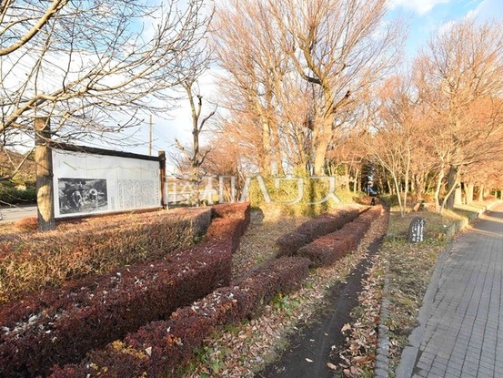 detached 埼玉県新座市本多１丁目
地図を見る