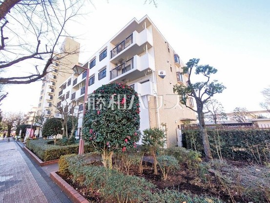 apartment 東京都東大和市桜が丘３丁目
地図を見る