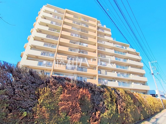 apartment 埼玉県和光市白子１丁目
地図を見る