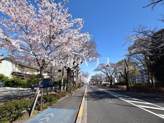 apartment 東京都西東京市田無町４丁目16-2