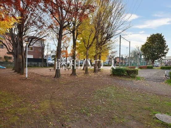 apartment 埼玉県志木市柏町５丁目
地図を見る