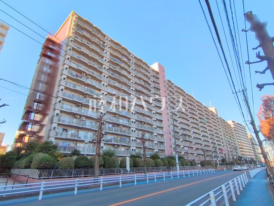apartment 埼玉県志木市本町５丁目
地図を見る