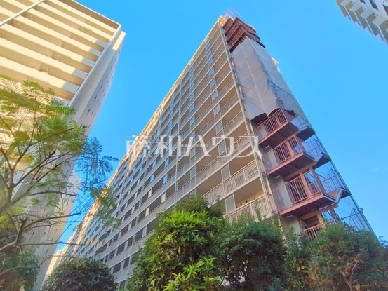 apartment 埼玉県志木市本町５丁目
地図を見る