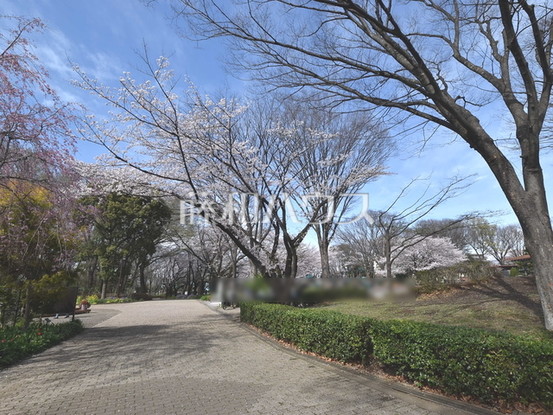 detached 東京都東村山市富士見町３丁目
地図を見る