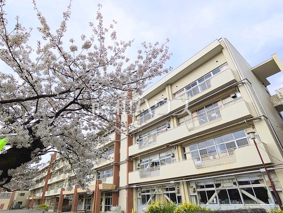 apartment 東京都調布市西つつじケ丘１丁目
地図を見る