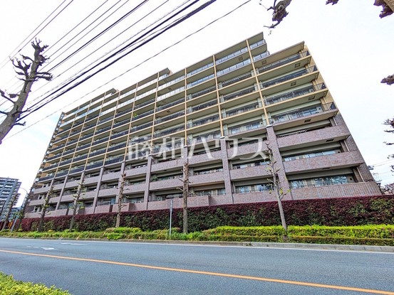 apartment 埼玉県志木市本町４丁目
地図を見る