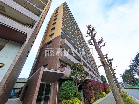 apartment 埼玉県志木市本町４丁目
地図を見る