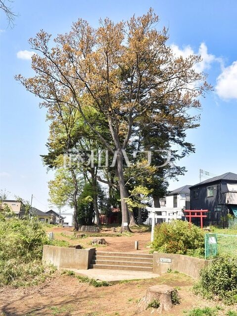 detached 東京都清瀬市中里５丁目
地図を見る