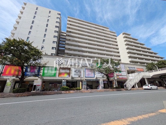 apartment 東京都府中市宮町２丁目-15-13 第15三ツ木ビル1Ｆ