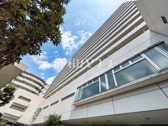 apartment 東京都府中市宮町２丁目-15-13 第15三ツ木ビル1Ｆ