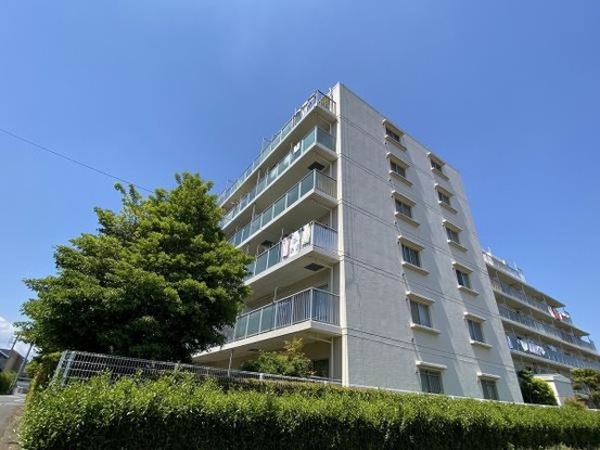 apartment 東京都羽村市川崎１丁目2-11　null