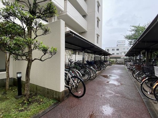 apartment 東京都羽村市川崎１丁目2-11　null