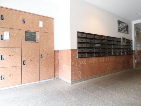 apartment 東京都羽村市川崎１丁目2-11　null