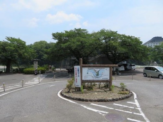 apartment 東京都羽村市川崎１丁目2-11　null