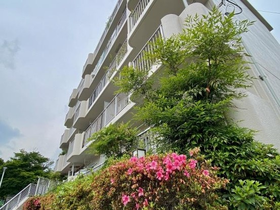 apartment 東京都羽村市川崎１丁目2-11　null