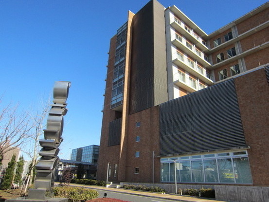 apartment 東京都羽村市川崎１丁目2-11　null