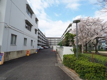 apartment 埼玉県越谷市千間台東１丁目８－２９