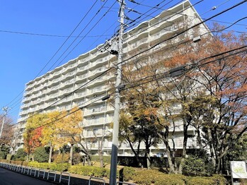 apartment 千葉県松戸市上本郷９００－２中央第１０北松戸ビル１Ｆ