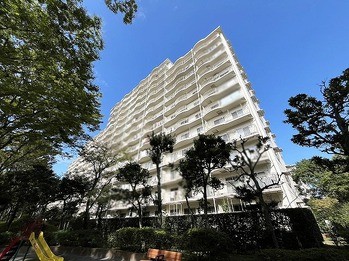 apartment 千葉県松戸市上本郷９００－２中央第１０北松戸ビル１Ｆ
