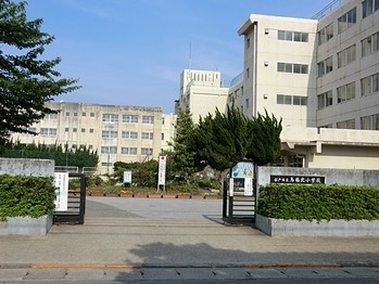 apartment 千葉県松戸市上本郷９００－２中央第１０北松戸ビル１Ｆ