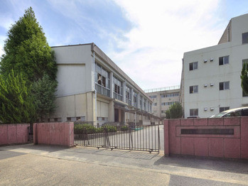apartment 千葉県松戸市上本郷９００－２中央第１０北松戸ビル１Ｆ