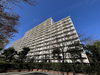 apartment 千葉県松戸市上本郷９００－２中央第１０北松戸ビル１Ｆ