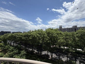 apartment 千葉県松戸市上本郷９００－２中央第１０北松戸ビル１Ｆ