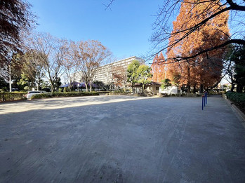 apartment 千葉県松戸市上本郷９００－２中央第１０北松戸ビル１Ｆ