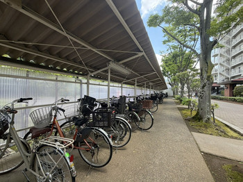 apartment 千葉県松戸市上本郷９００－２中央第１０北松戸ビル１Ｆ