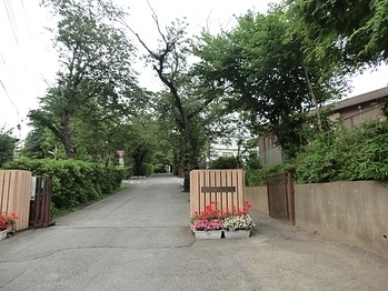 apartment 千葉県柏市末広町１５－２鈴木電気ビル１Ｆ