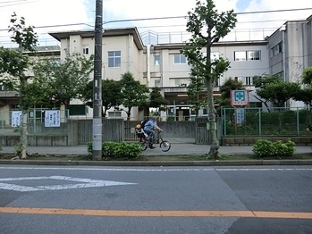 apartment 千葉県柏市末広町１５－２鈴木電気ビル１Ｆ