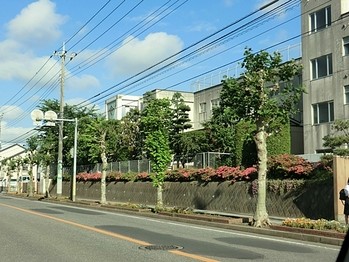 apartment 千葉県柏市末広町１５－２鈴木電気ビル１Ｆ