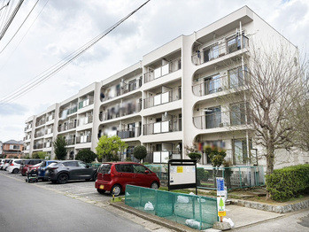 apartment 千葉県柏市末広町１５－２鈴木電気ビル１Ｆ