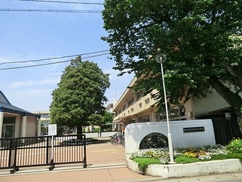 apartment 千葉県柏市末広町１５－２鈴木電気ビル１Ｆ
