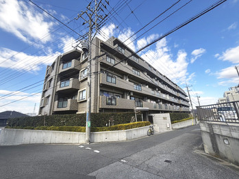 apartment 千葉県柏市末広町１５－２鈴木電気ビル１Ｆ