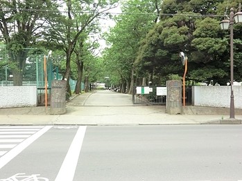 apartment 千葉県柏市末広町１５－２鈴木電気ビル１Ｆ