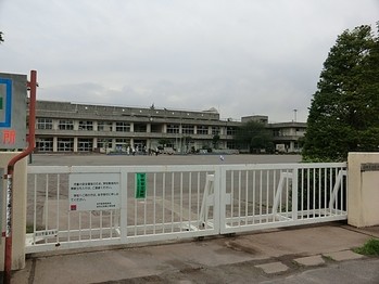 apartment 千葉県柏市末広町１５－２鈴木電気ビル１Ｆ