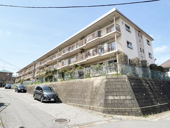 apartment 千葉県流山市市野谷666-1　シェーンガルテン1階