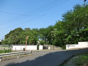apartment 千葉県流山市市野谷666-1　シェーンガルテン1階