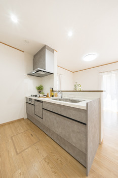 detached 千葉県流山市市野谷666-1　シェーンガルテン1階