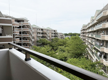 apartment 千葉県流山市市野谷666-1　シェーンガルテン1階