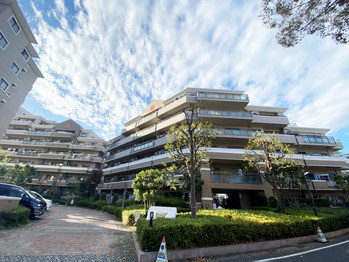 apartment 千葉県流山市市野谷666-1　シェーンガルテン1階