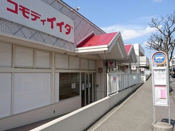 apartment 千葉県流山市市野谷666-1　シェーンガルテン1階