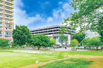 apartment 千葉県流山市市野谷666-1　シェーンガルテン1階