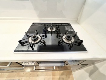 detached 千葉県柏市南柏中央６－３Ｓ５０９ＫＩＮＧ２０５／１０５