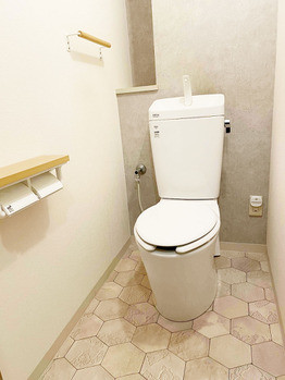 apartment 千葉県柏市南柏中央６－３Ｓ５０９ＫＩＮＧ２０５／１０５