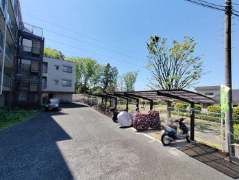 apartment 千葉県柏市南柏中央６－３Ｓ５０９ＫＩＮＧ２０５／１０５