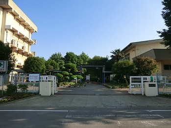 apartment 千葉県柏市南柏中央６－３Ｓ５０９ＫＩＮＧ２０５／１０５