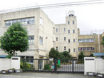 apartment 千葉県柏市南柏中央６－３Ｓ５０９ＫＩＮＧ２０５／１０５