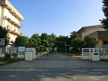 apartment 千葉県柏市南柏中央６－３Ｓ５０９ＫＩＮＧ２０５／１０５
